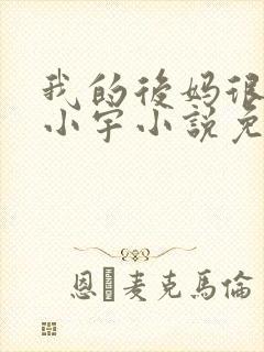 我的后妈很漂亮小宇小说免费阅读封面