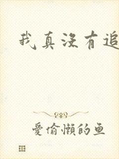 我真没有追你封面