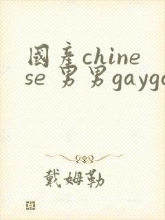 国产chinese 男男gaygay网站