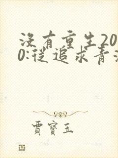 没有重生2000:从追求青涩校花同桌开始小说封面