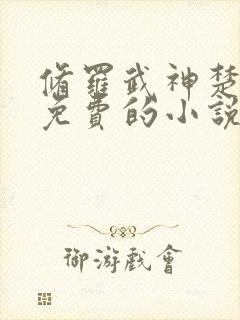 修罗武神楚枫全免费的小说