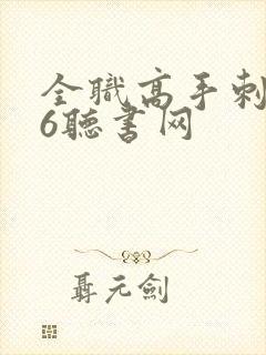 全职高手刺儿56听书网