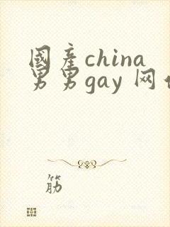 国产china男男gay 网站