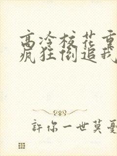 高冷校花重生了疯狂倒追我txt