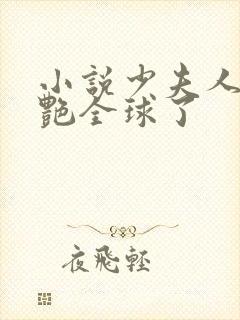 小说少夫人她惊艳全球了封面