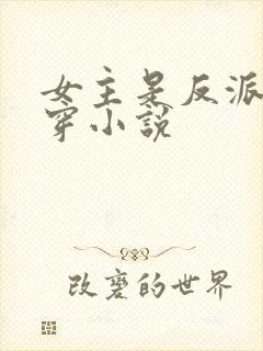 女主是反派的快穿小说