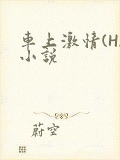 车上激情(H)小说