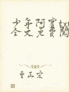 少年阿宾txt全文免费阅读小说