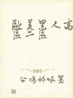 欧美黑人高清一区二区