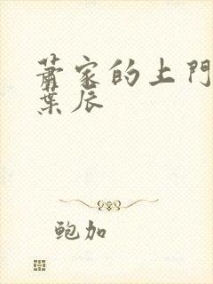 萧家的上门女婿叶辰