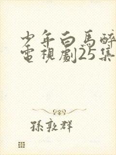 少年白马醉春风电视剧25集免费观看