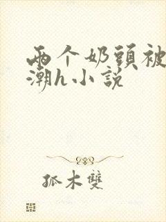 两个奶头被捏高潮h小说