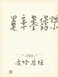 男主是保镖女主是千金的小说封面