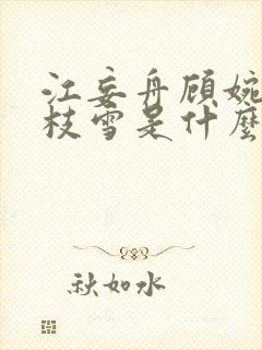 江妄舟顾婉禾宋枝雪是什么小说