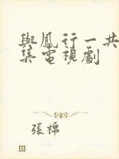 与凤行一共多少集电视剧