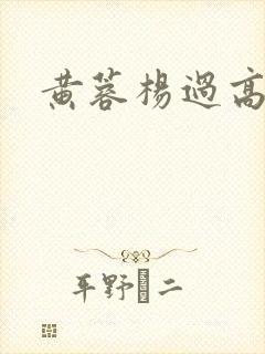 黄蓉杨过高h封面