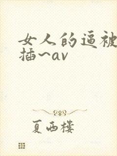 女人的逼被男人插~av