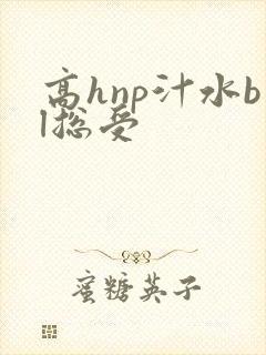 高hnp汁水bl总受