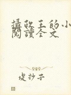 摄政王的小闲妻阅读全文