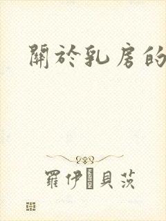 关于乳房的小说封面