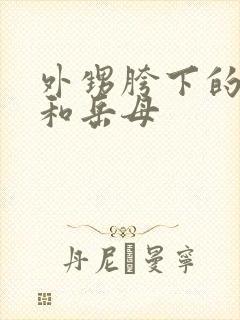 外甥胯下的妻子和岳母