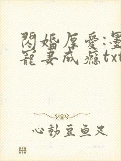 闪婚厚爱:墨少宠妻成瘾txt封面