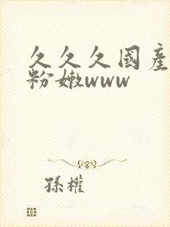 久久久国产精品粉嫩www