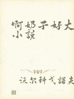 啊奶子好大啊 小说封面