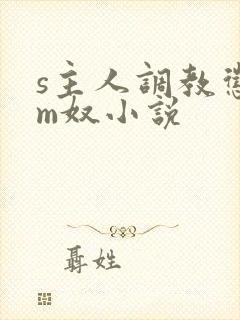 s主人调教惩罚m奴小说