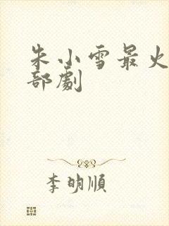 朱小雪最火的三部剧封面