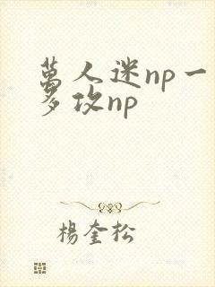 万人迷np一受多攻np