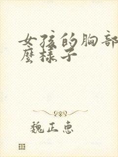 女孩的胸部长什么样子