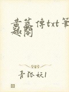 黄蓉传txt笔趣阁