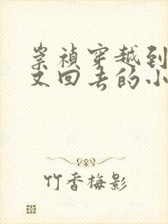 崇祯穿越到现在又回去的小说