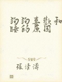 狗狗喜欢和主人睡的原因