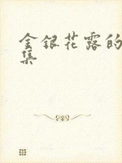 金银花露的作品集