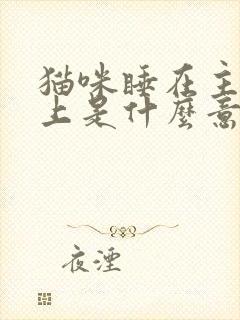 猫咪睡在主人身上是什么意思