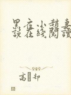 黑夜小赵妻子小说在线阅读