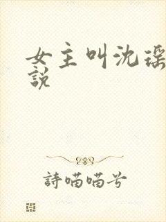 女主叫沈瑶的小说