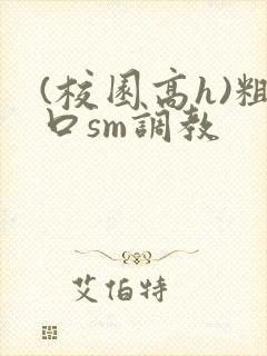 (校园高h)粗口sm调教封面