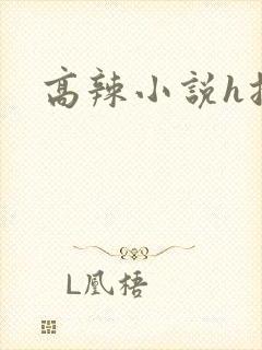 高辣小说h援交封面