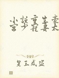 小说重生豪门:宫少宠妻太凶猛封面