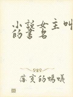 小说女主叫沈念的书名