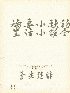娇妻小秋的幸福生活小说全文阅读