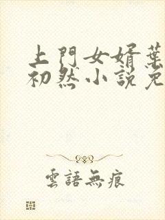 上门女婿叶辰萧初然小说免费阅读完整版封面