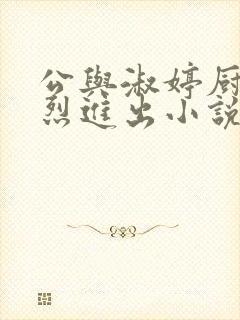 公与淑婷厨房猛烈进出小说