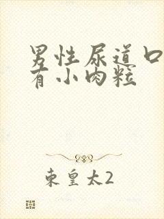 男性尿道口周围有小肉粒