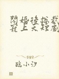 闪婚后总裁把我宠上天短剧免费观看