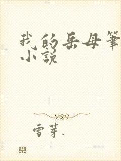 我的岳母笔趣阁小说