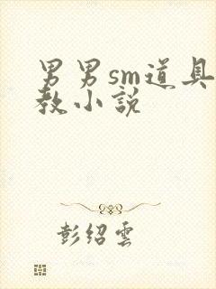 男男sm道具调教小说封面